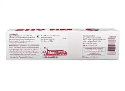 Shy NM Toothpaste 100gm